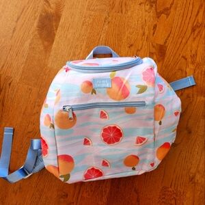 NWT June Shine cooler backpack